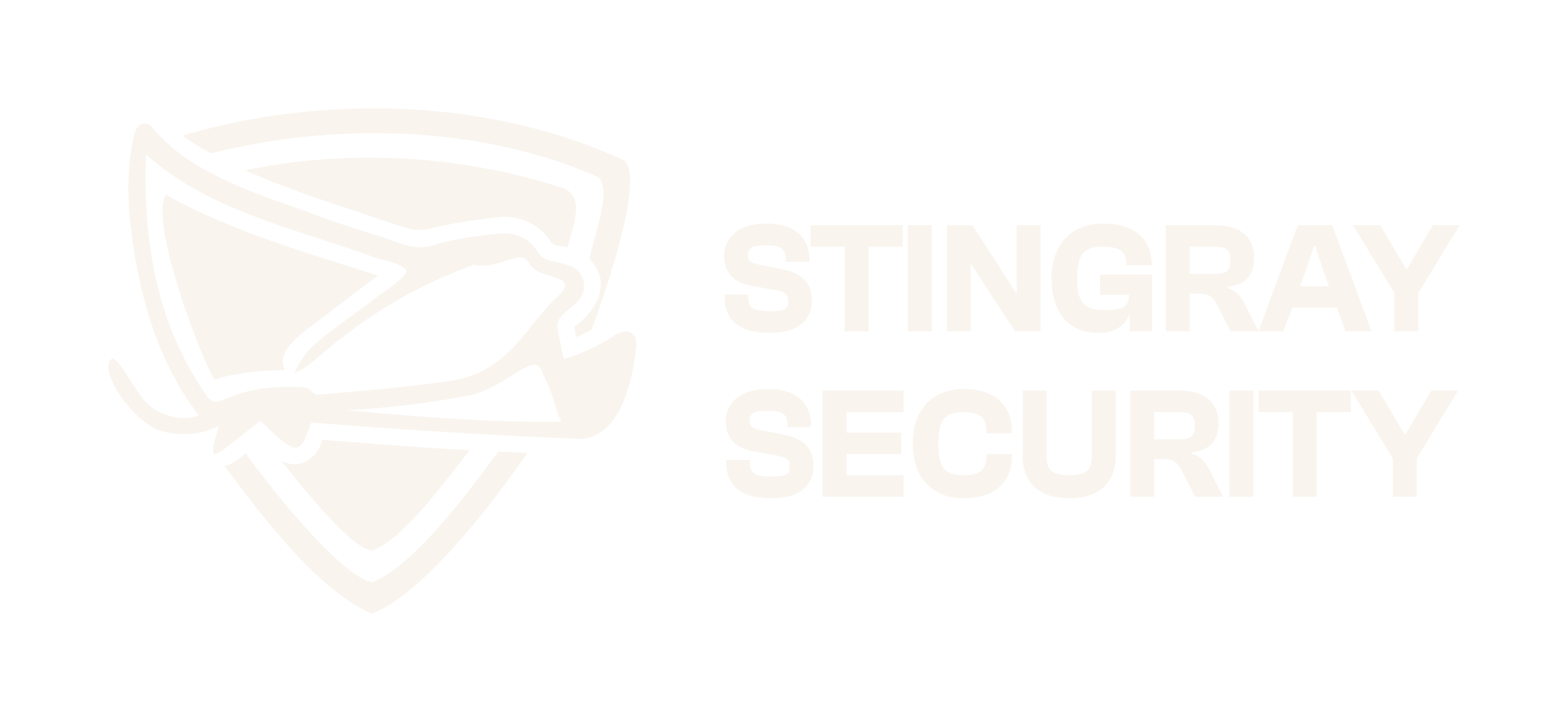 Stingray Security